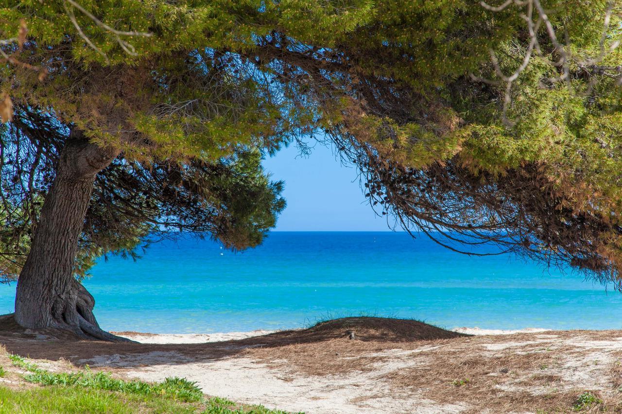 Formentera 2 Vila Can Picafort  Exterior foto